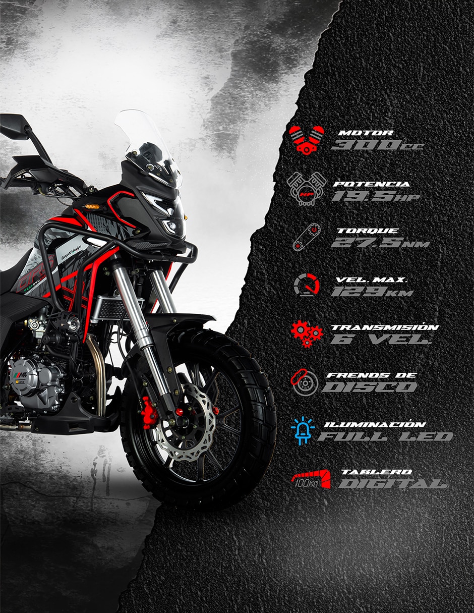 Motocicleta doble propósito DRS 300 2027 6